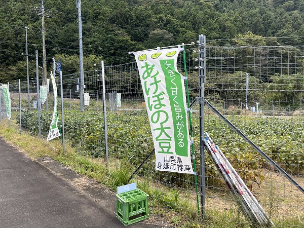 山梨の登山サークルの社会人サークルヤマトモ