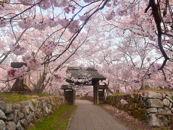 東京の旅行サークルの社会人サークルヤマトモ