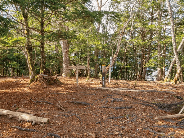 山梨の登山サークルの社会人サークルヤマトモ