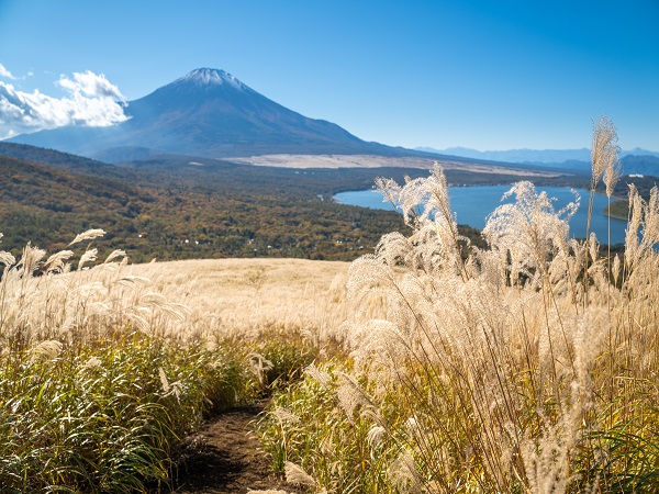 山梨の登山サークルの社会人サークルヤマトモ