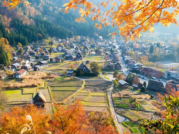 東京の登山サークルの社会人サークルヤマトモ