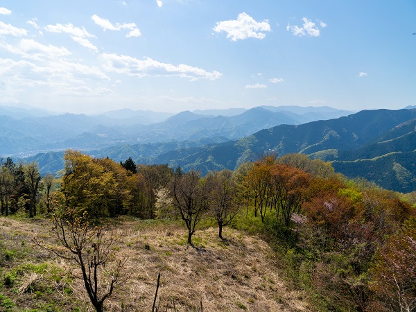 神奈川の登山サークルの社会人サークルヤマトモ