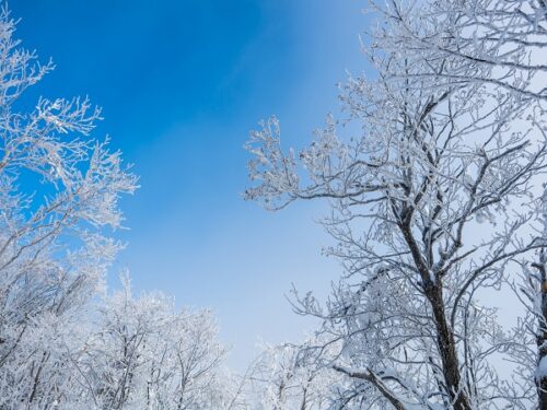 登山イベントの社会人サークルヤマトモ