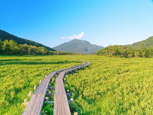 至仏山の社会人サークルヤマトモ