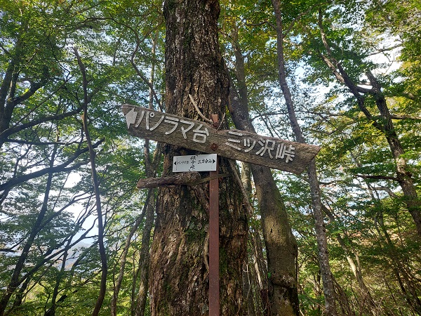 山梨の登山サークルの社会人サークルヤマトモ