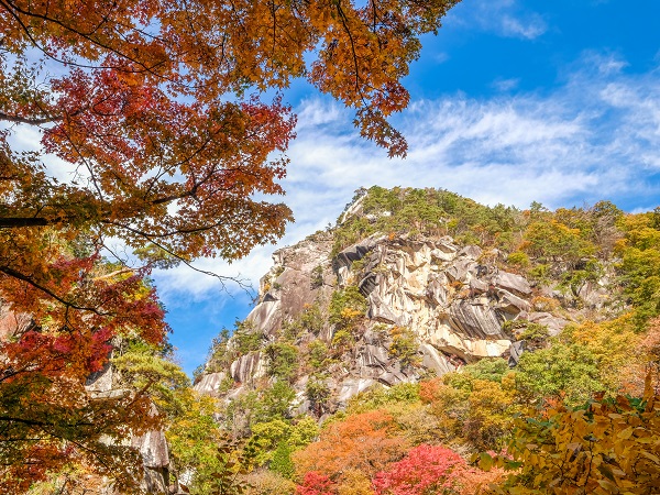 山梨の登山サークルの社会人サークルヤマトモ