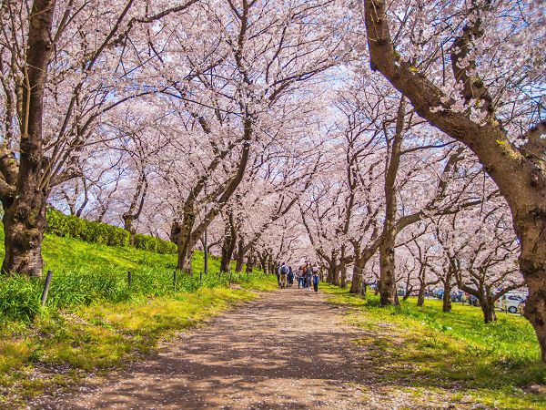 埼玉の登山サークルの社会人サークルヤマトモ