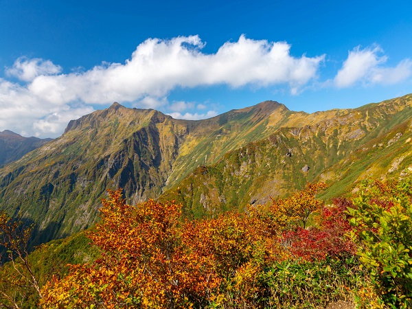 谷川岳の登山イベントの社会人サークルヤマトモ