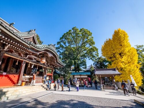 筑波山の社会人サークルヤマトモ