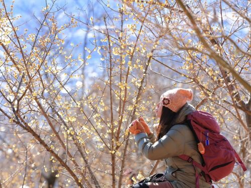 埼玉の登山サークルの社会人サークルヤマトモ