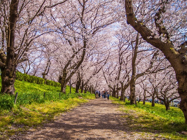 埼玉の社会人サークルヤマトモ