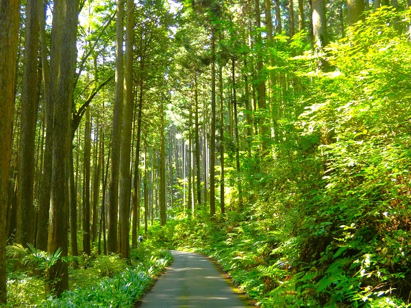 日和田山の登山イベントの社会人サークルヤマトモ