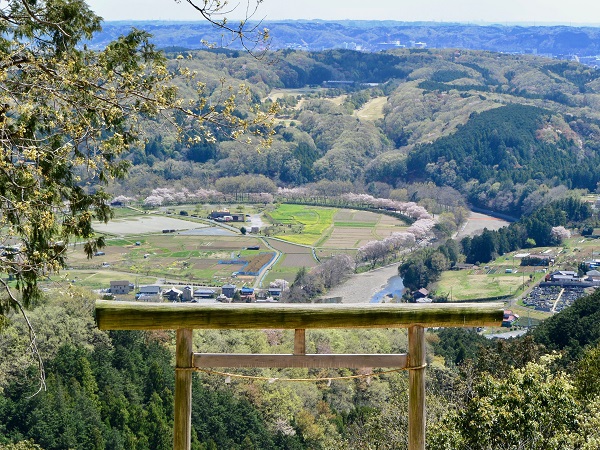 日和田山の登山イベントの社会人サークルヤマトモ