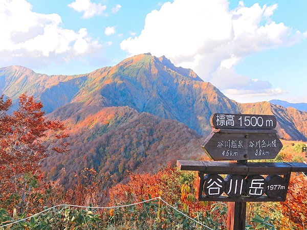 谷川岳の登山イベントの社会人サークルヤマトモ
