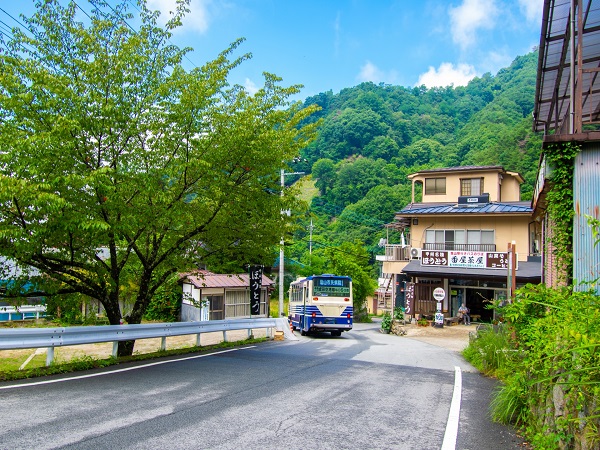 大菩薩嶺の登山イベントの社会人サークルヤマトモ