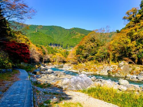 御岳山の登山イベントの社会人サークルヤマトモ