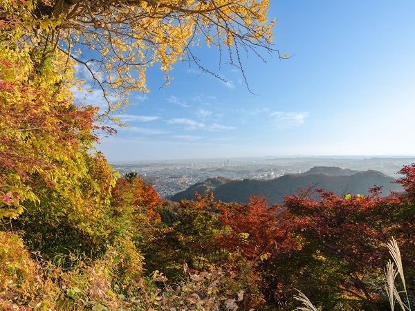 高尾山の登山イベントの社会人サークルヤマトモ