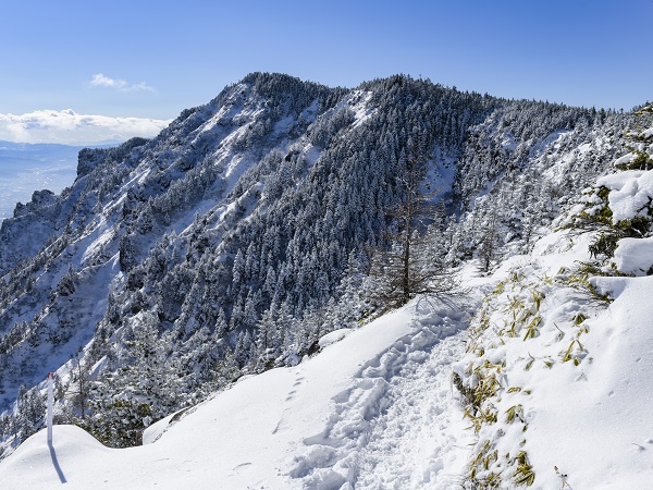 長野の登山サークルの社会人サークルヤマトモ