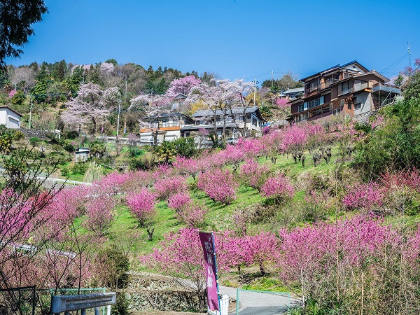 埼玉の登山サークルの社会人サークルヤマトモ