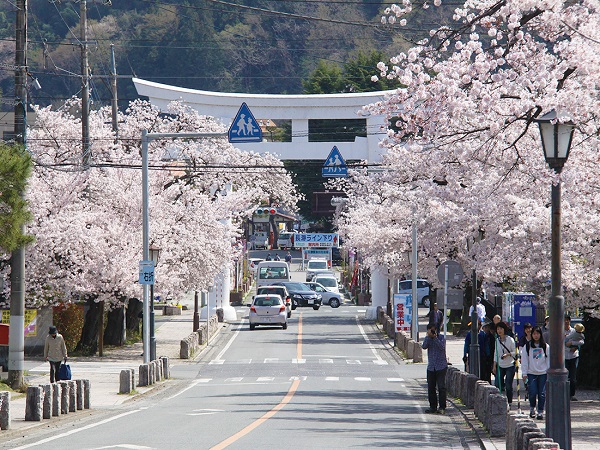 埼玉の登山サークルの社会人サークルヤマトモ