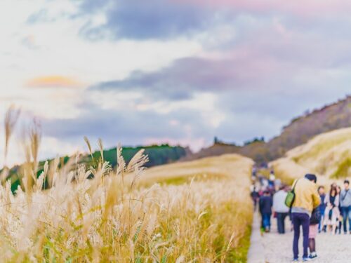 神奈川の登山サークルの社会人サークルヤマトモ