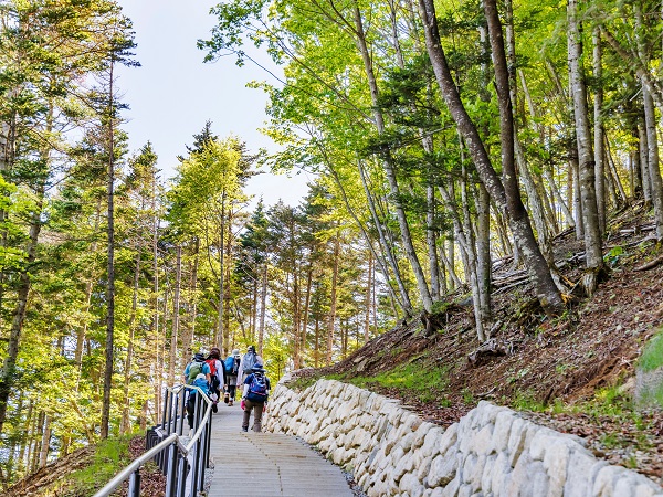 山梨の登山サークルの社会人サークルヤマトモ