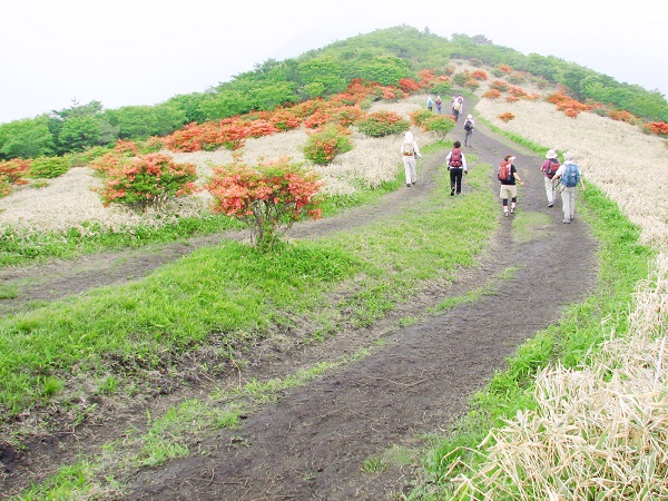 赤城山の登山イベントの社会人サークルヤマトモ
