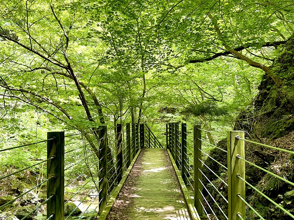 栃木の登山サークルの社会人サークルヤマトモ