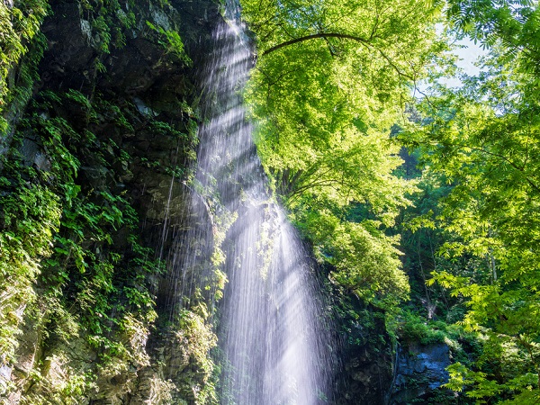 栃木の登山サークルの社会人サークルヤマトモ
