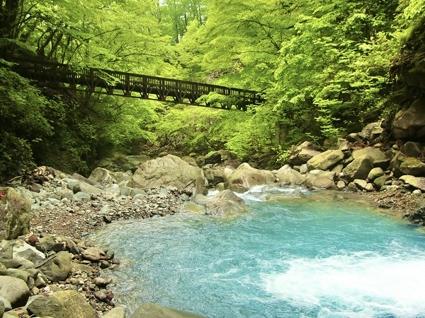 栃木の登山サークルの社会人サークルヤマトモ