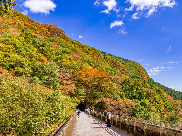 群馬の登山サークルの社会人サークルヤマトモ