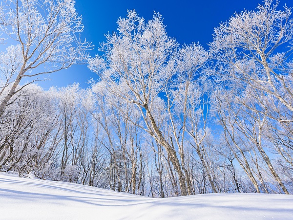 群馬の登山サークルの社会人サークルヤマトモ