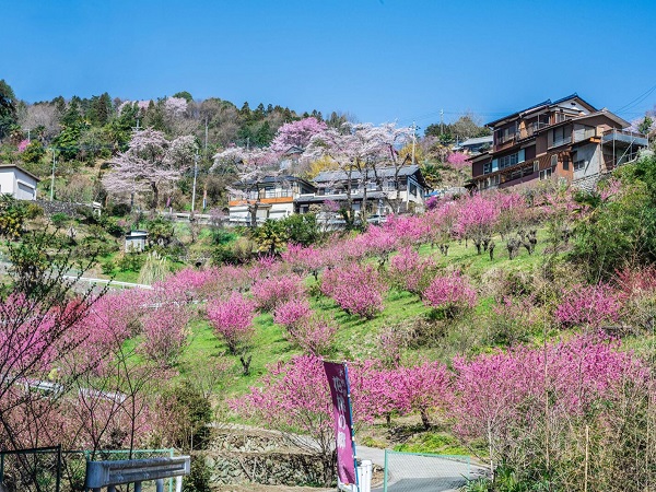 埼玉の登山サークルの社会人サークルヤマトモ