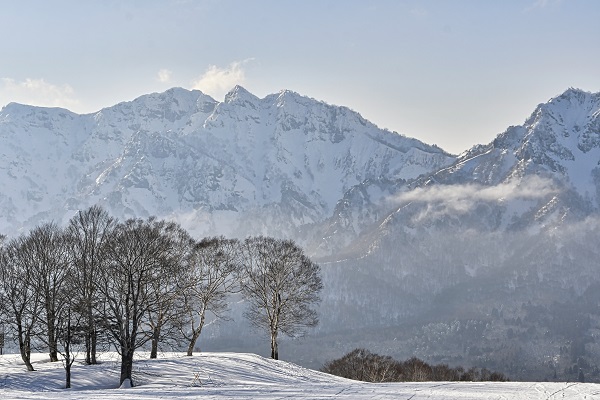 埼玉のスノボサークルの社会人サークルヤマトモ