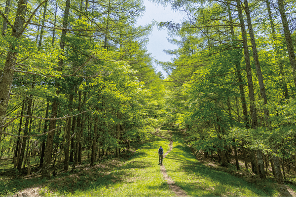 山梨の登山サークルの社会人サークルヤマトモ