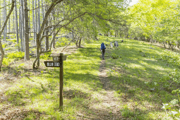 山梨の登山サークルの社会人サークルヤマトモ