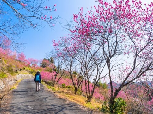 埼玉の登山サークルの社会人サークルヤマトモ