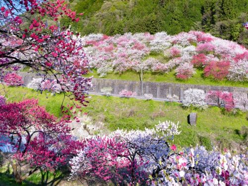 長野の登山サークルの社会人サークルヤマトモ
