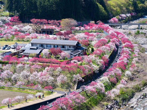 長野の登山サークルの社会人サークルヤマトモ