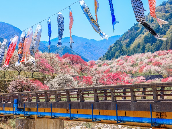 長野の登山サークルの社会人サークルヤマトモ