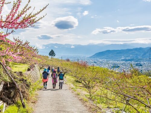 山梨の登山サークルの社会人サークルヤマトモ