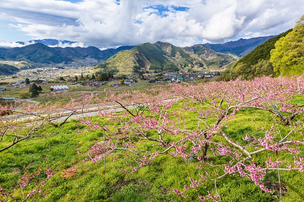 山梨の登山サークルの社会人サークルヤマトモ