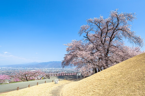 山梨の登山サークルの社会人サークルヤマトモ