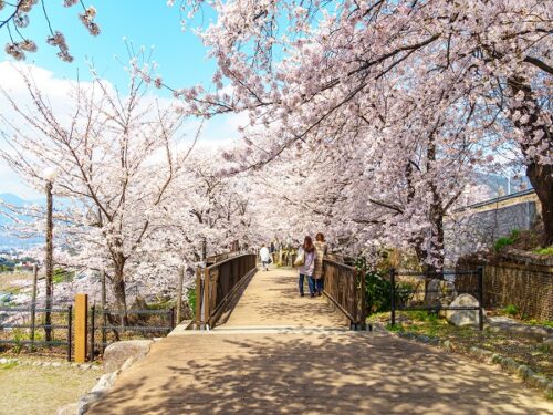 山梨の登山サークルの社会人サークルヤマトモ