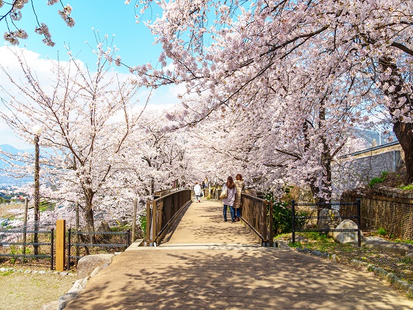 山梨の登山サークルの社会人サークルヤマトモ