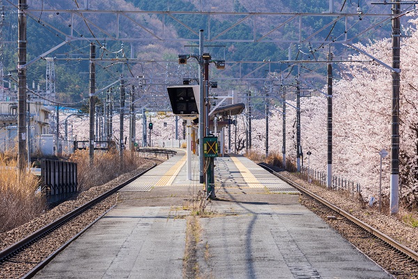 山梨の登山サークルの社会人サークルヤマトモ
